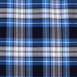 SkirtSlortSwatches_ClearBluePlaid